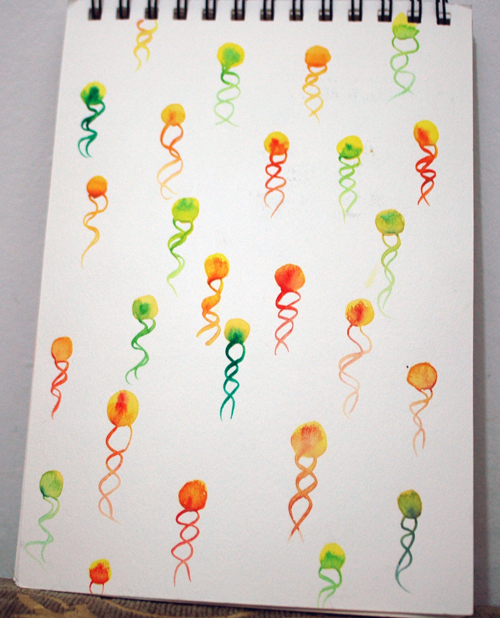 diflagellate