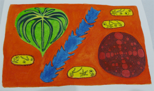 paramecium, christmas cactus, plant cross section and other plant
