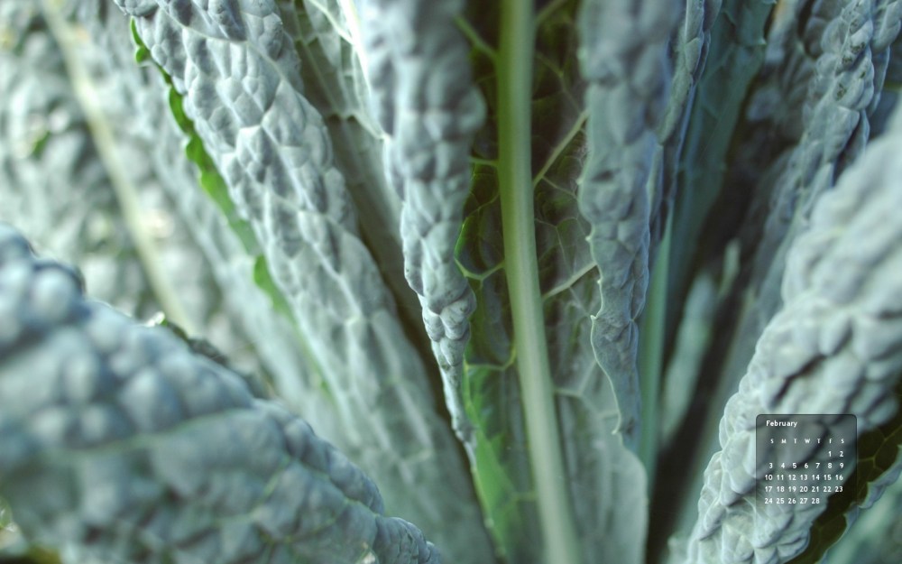 February 2013 desktop wallpaper calendar