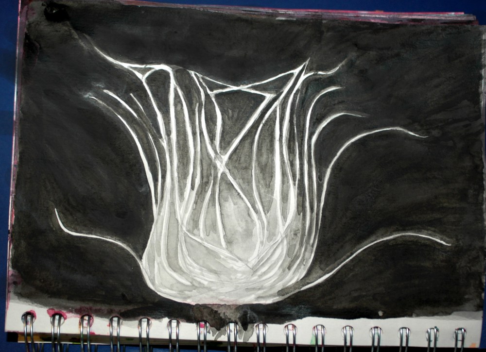tulip x-ray sketch