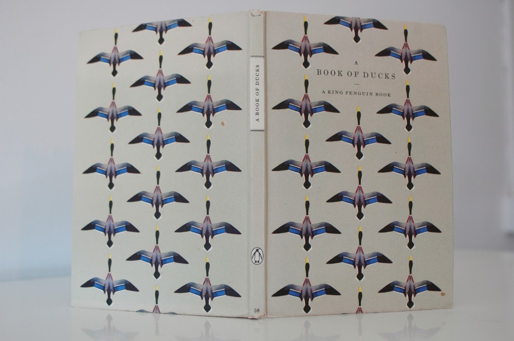 book of ducks small