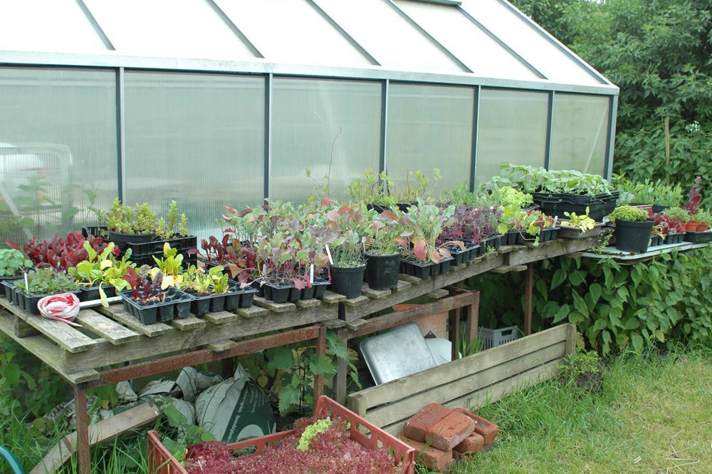 bore place kent 2014