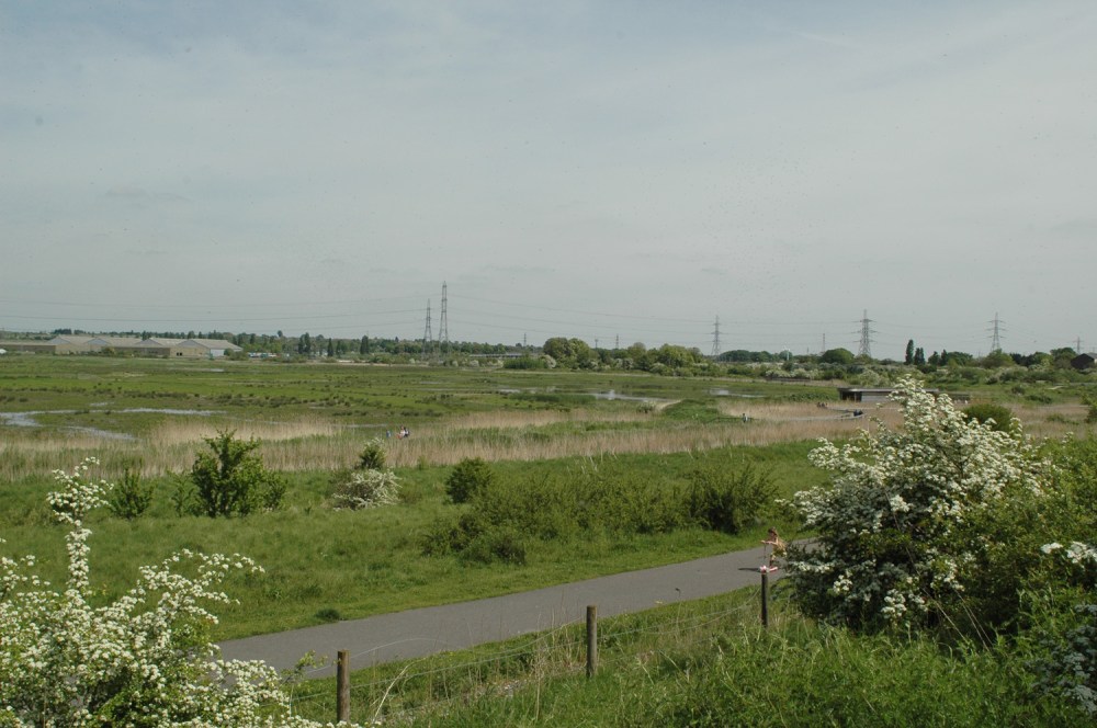 rspb rainham