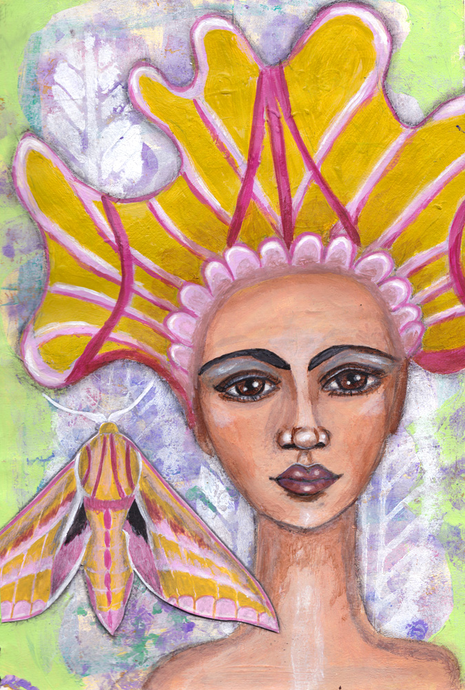 lady hawkmoth art journal joanne seale