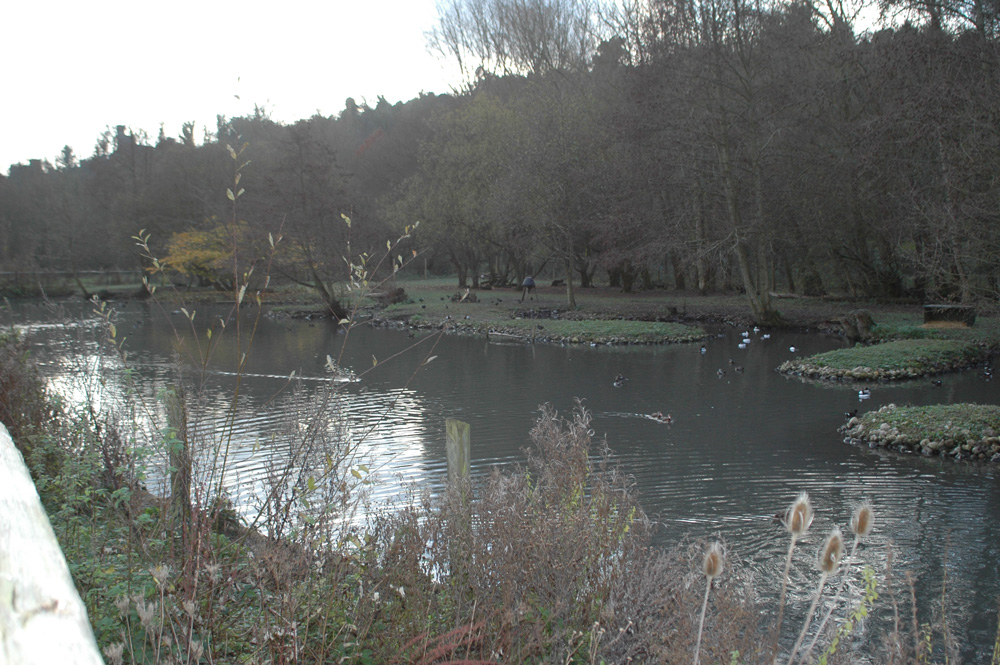 arundel wildfowl and wetlands centre