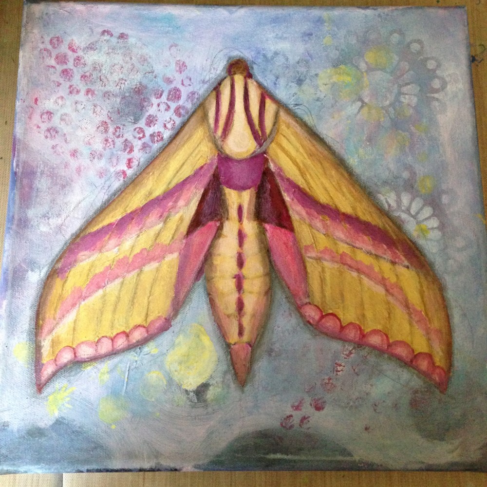 Hawk moth painting joanne seale