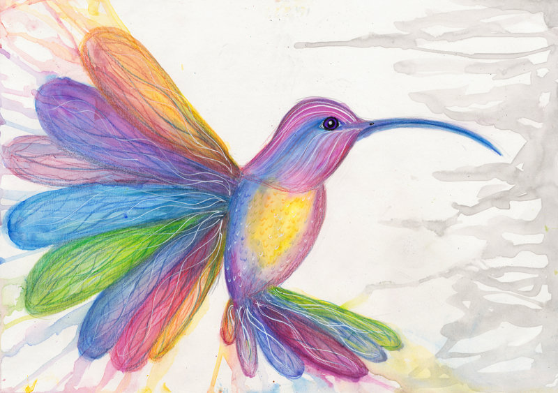 humming bird painting joanne seale