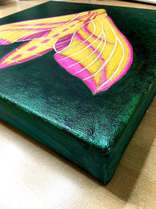 elephant hawk moth painting art joanne seale